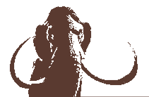 toFlash007's profile picture. Flash casual&social Game and Application Developing