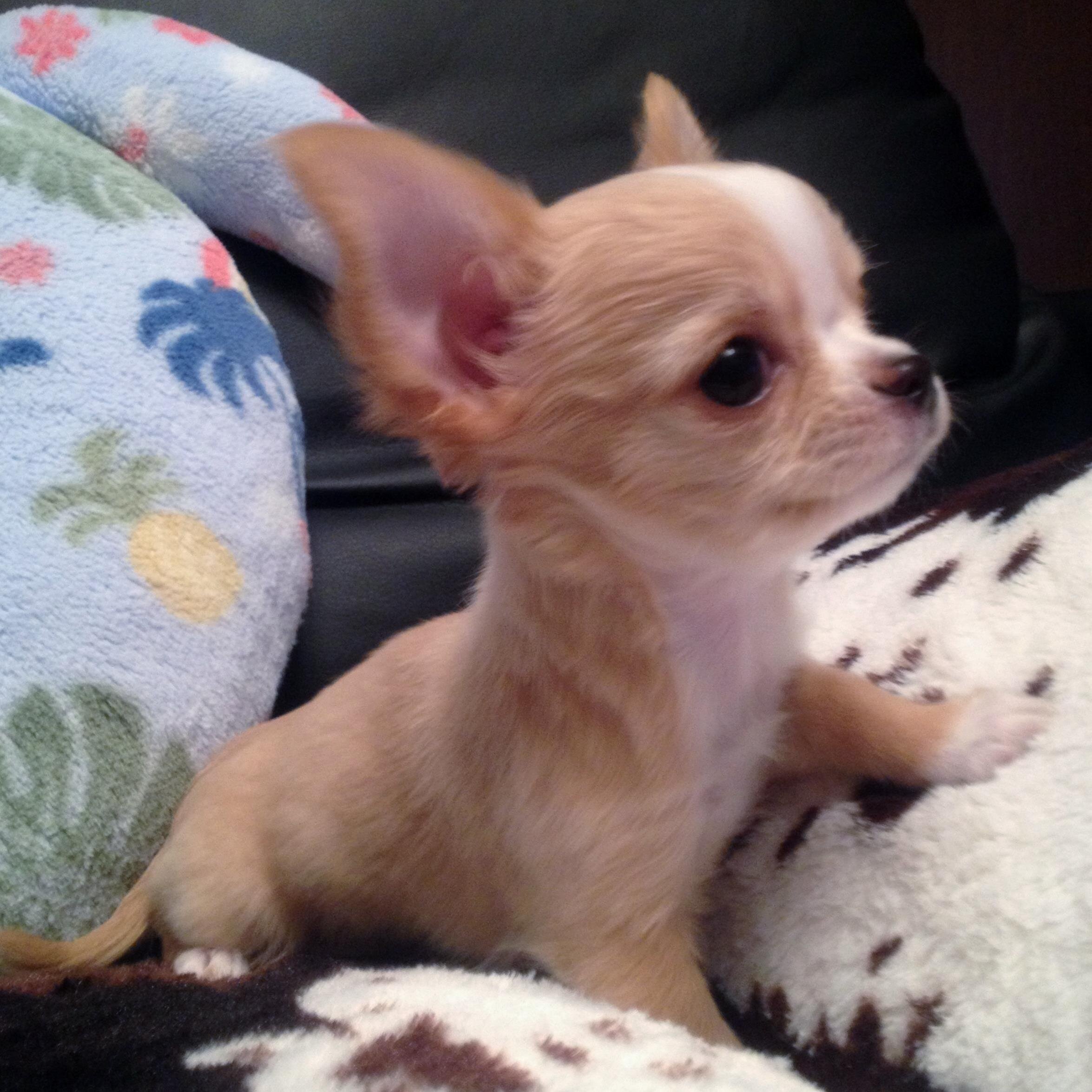 4400611's profile picture. 食べること大好き