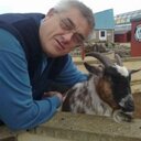 cliff edwards - @cliffedwards65 - Twitter