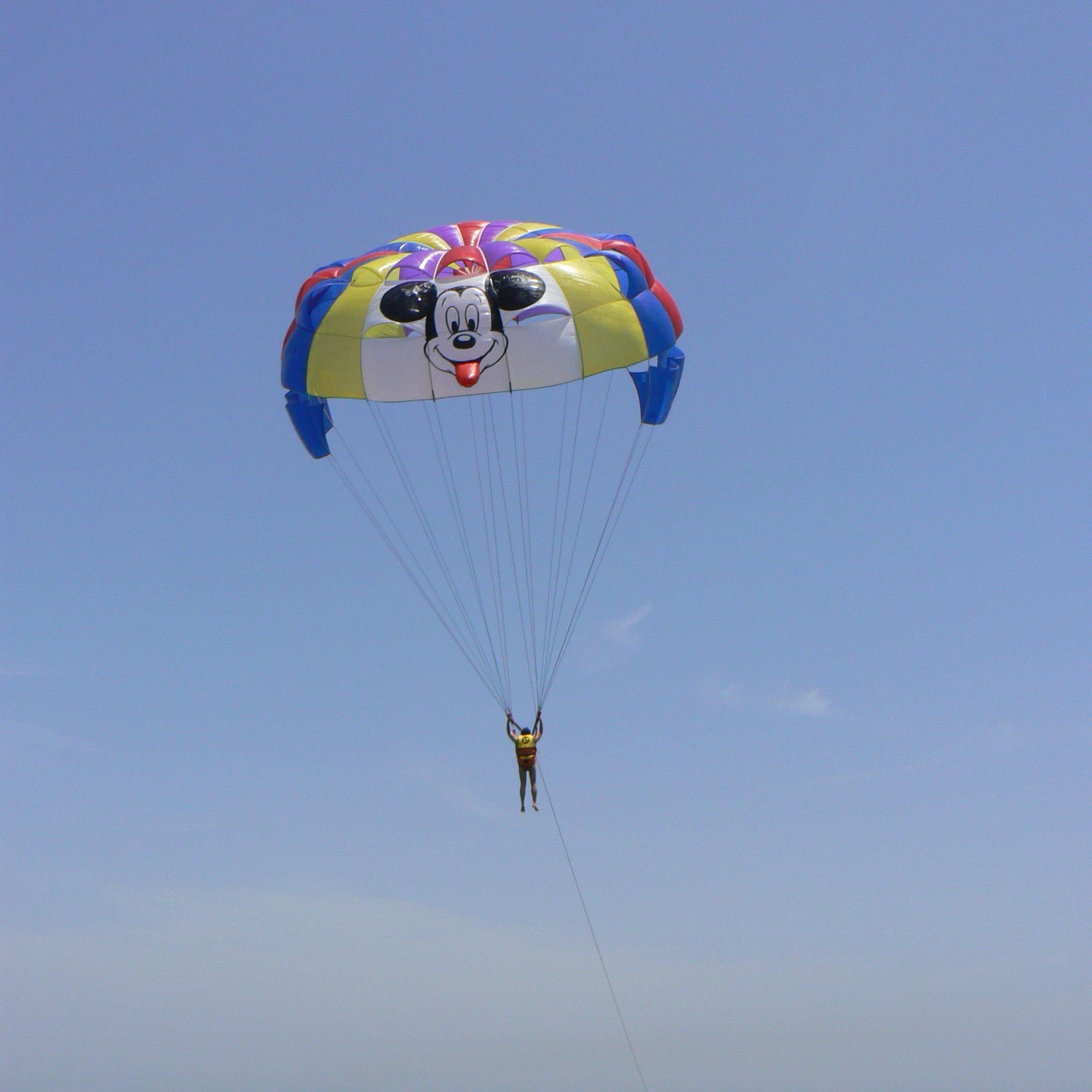 ronnypr00060668's profile picture. 