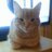 kirstiejane69's profile image