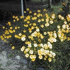 主に懸賞応募のためのアカウントです。一通りヘルプには目を通したつもりですが、苦情・アドバイス等ございましたらお手数ですがお知らせください。