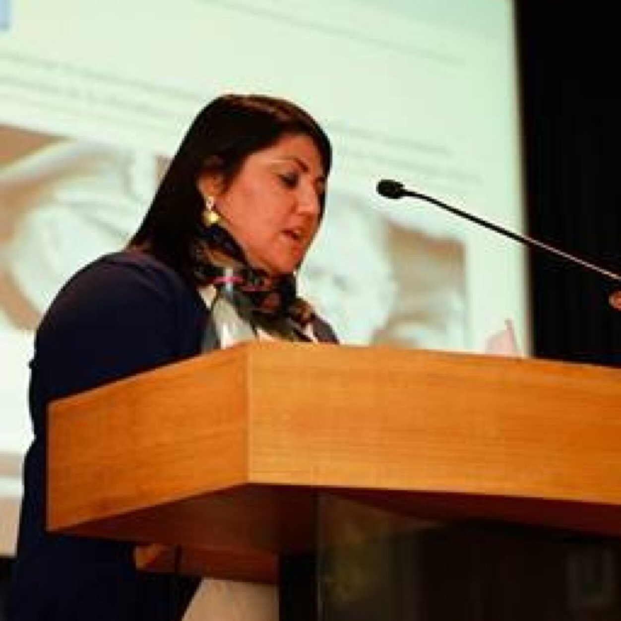 Profesora de Didáctica de la Historia