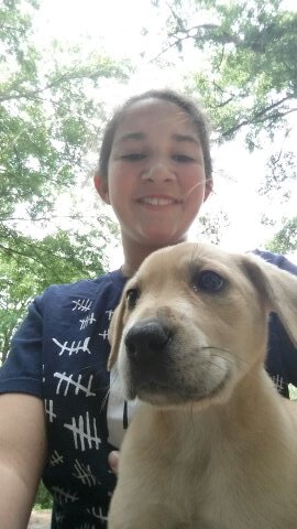 Hey I'm Kyli. So......Hi. And something else. I totally love One Direction and 5 Seconds of Summer. My #1 is God.  I'm addicted to TWD and Doctor Who.