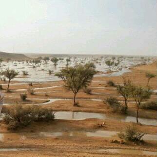 PIN:7E11EEBC