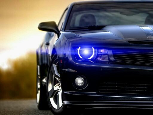BLUE_LIGHTNINGさんのプロフィール画像