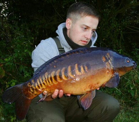 MThurgill's profile picture. 