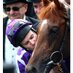 Australia (@australia_horse) Twitter profile photo Australia (@australia_horse) Twitter profile photo