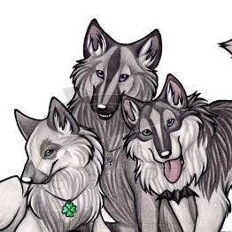 Holly: hello I'm Holly #Bi Alex: I'm Alex youngest of them all #Bi Grey: I'm Grey oldest of them all #Straight WE LOVE SEX Parents: @GweSexy and @SkyPonyBeat