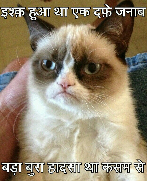 ▓▒░▓▒░▓▒░I follow back.░▒▓░▒▓░▒▓