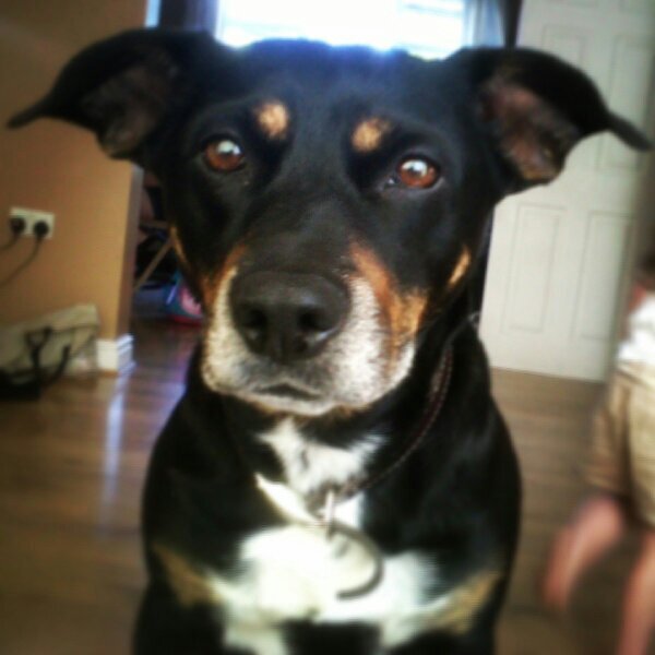 Johndaley465's profile picture. 