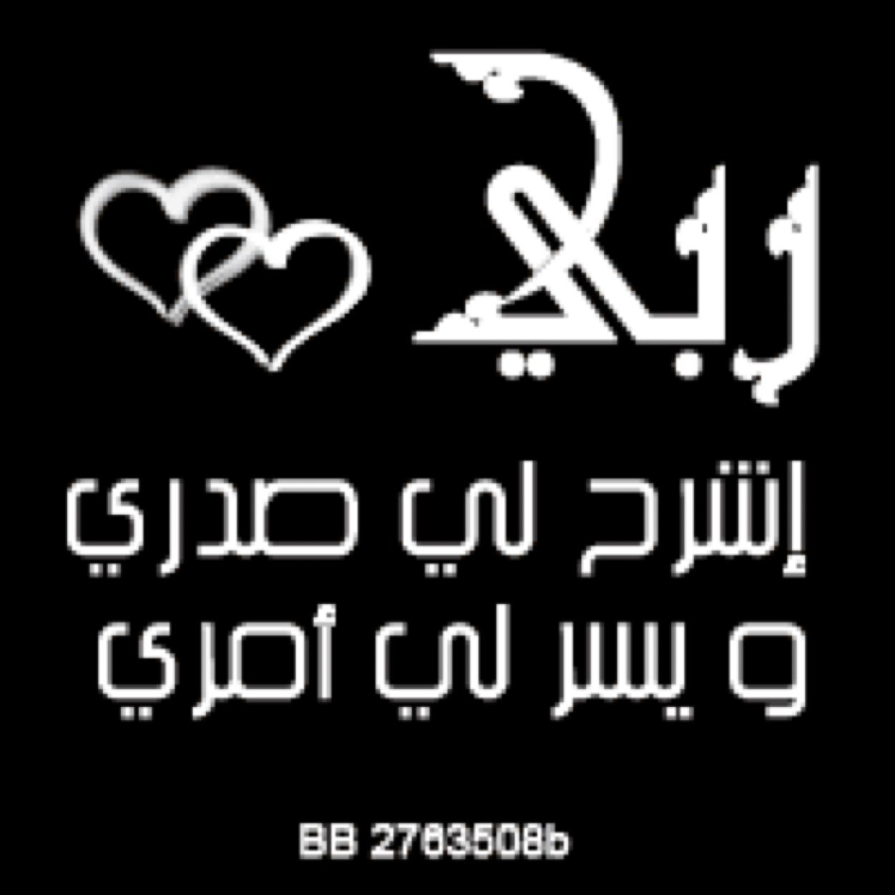 mz12120's profile picture. 