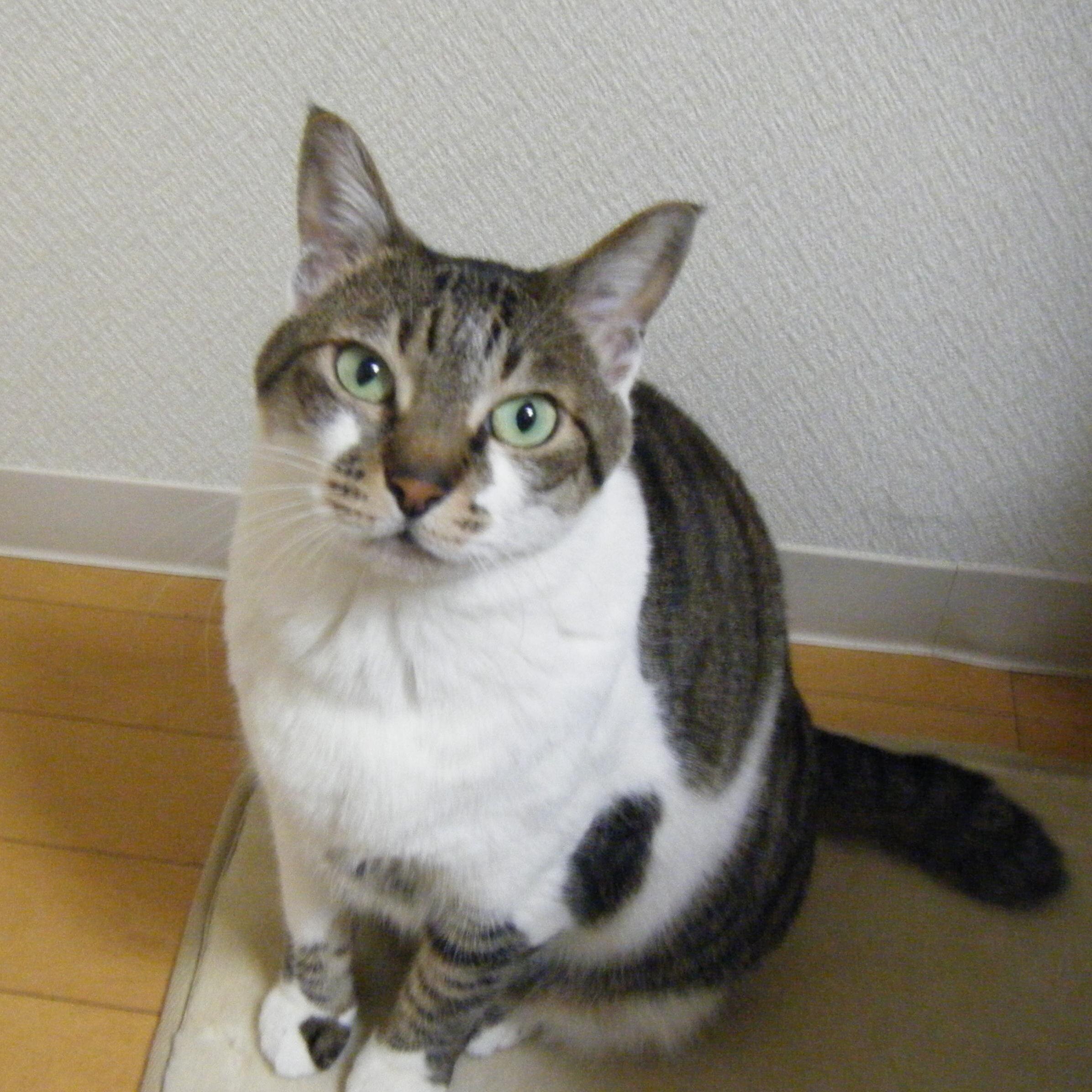 ひめさんのプロフィール画像