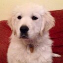 Martyn McCulloch - @Martyn_n_Ashley - Twitter