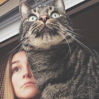 Helene Myhre (@helenemoo) 's Twitter Profile