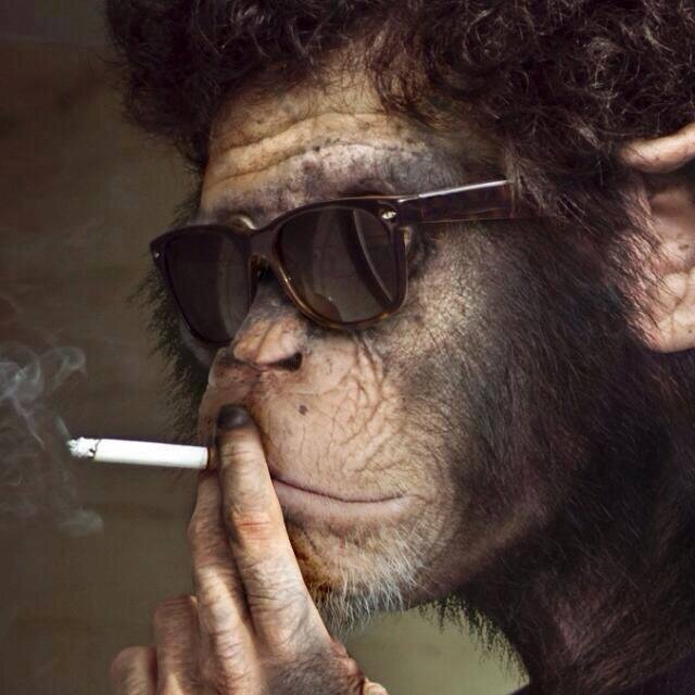 Dannphotor's profile picture. 