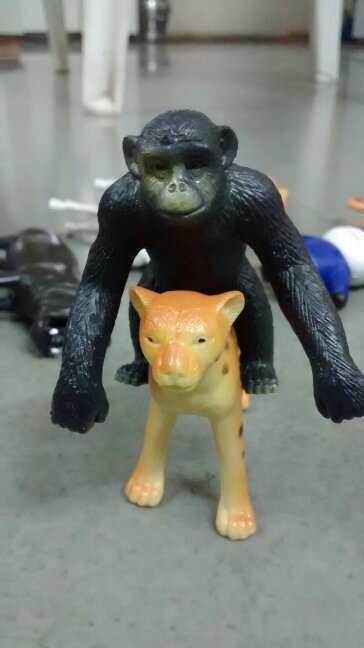 GauravVarshikar's profile picture. Techie