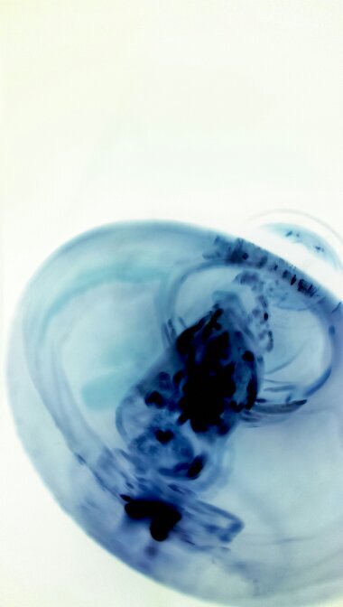 Pirraichi's profile picture. 