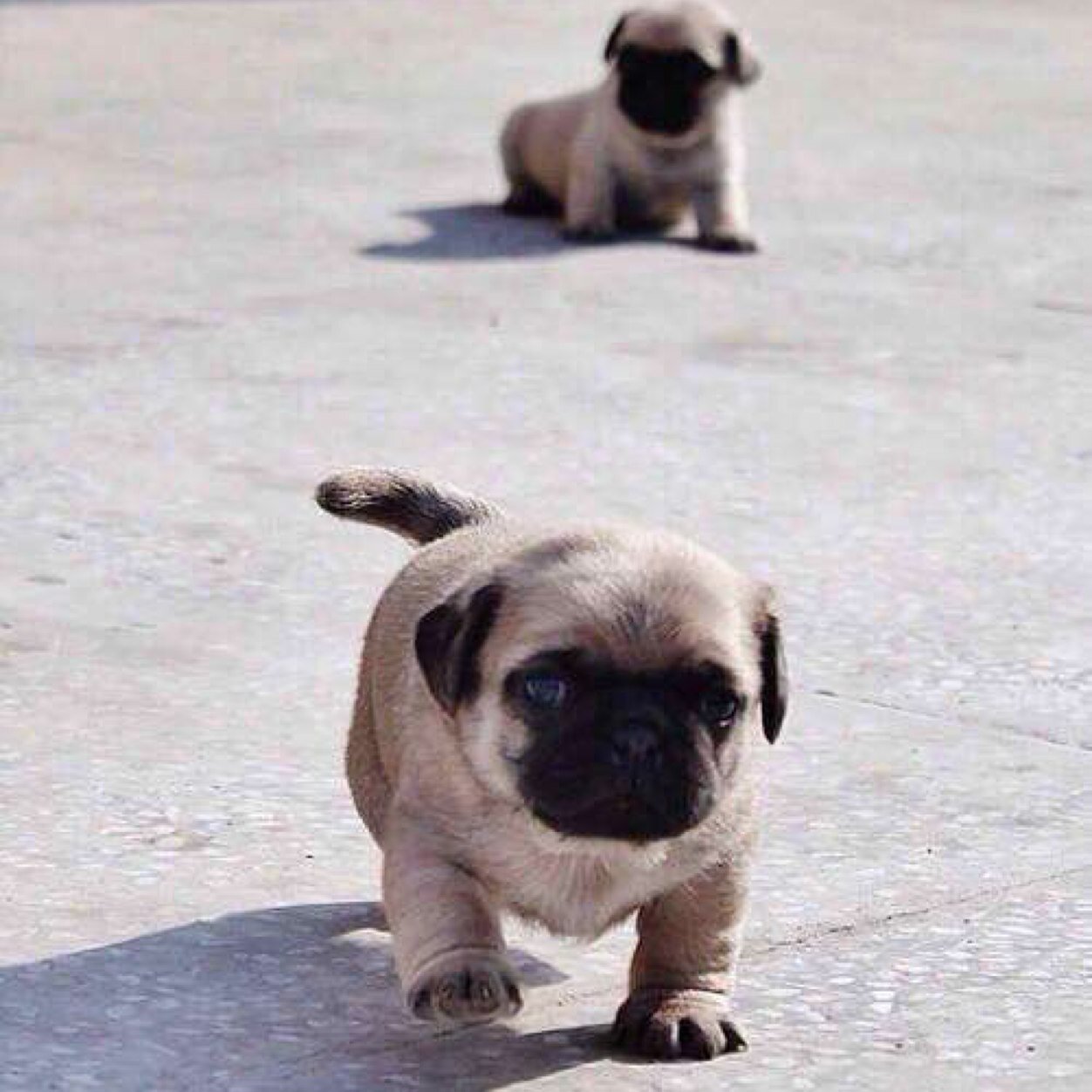 kkkkkkkbye's profile picture. lalala