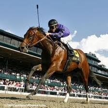 Thehiddenangle provides tips, stats, analysis and news about horse racing.  http://t.co/w4kT1ZkvUK - http://t.co/faNOS86LkL