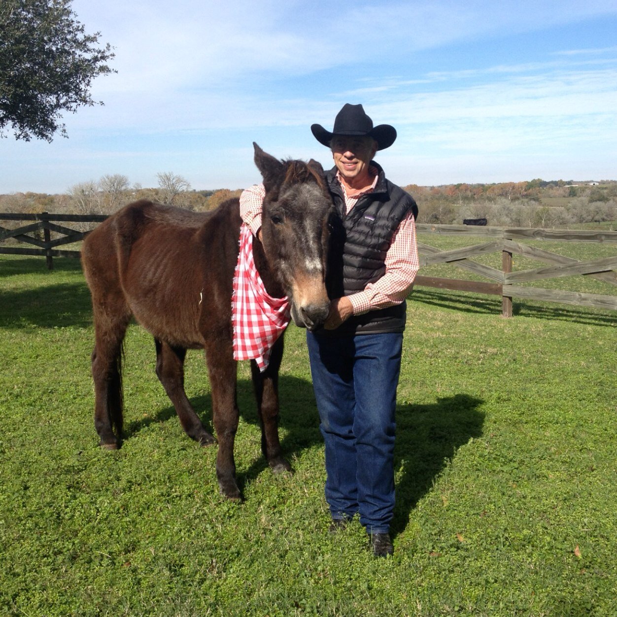 toothacres1's profile picture. 