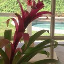 Anna Shull - @AnnaBlakdm - Twitter