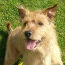 George Agnew - @geoagnew52 - Twitter