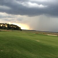 Tyler Johanson (@turf_gator) 's Twitter Profile