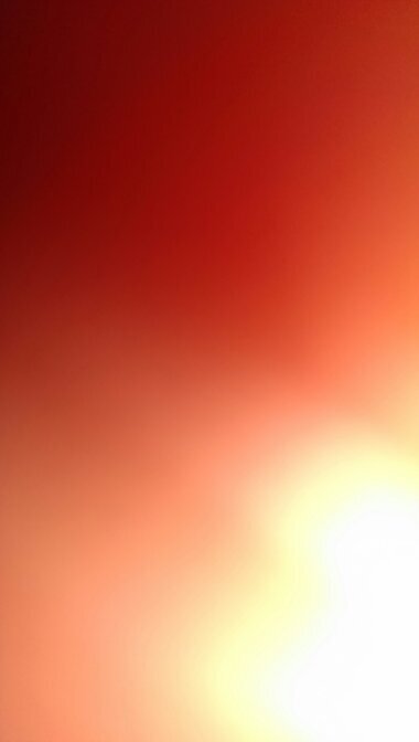 TelegraphWire's profile picture. please be kind.