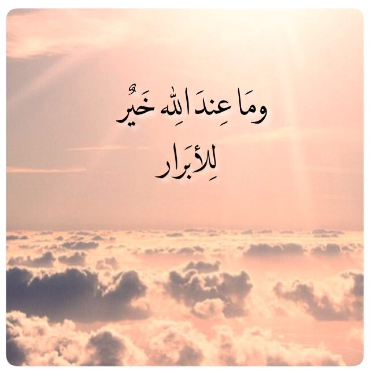 مهندسة كويتية أعشق وطني❤.. زينبية من سلالة الأطهار. .