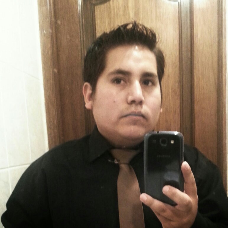 Analista de Sistemas(Ing Data Comp 2008), Ingeniero de Sistemas(UMSS 2012).