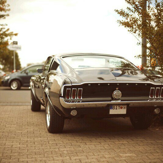 AdpcAngel's profile picture. 