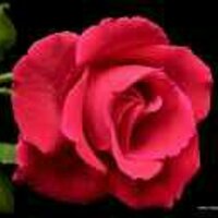 رنا الحربي (@modarkmi) Twitter profile photo