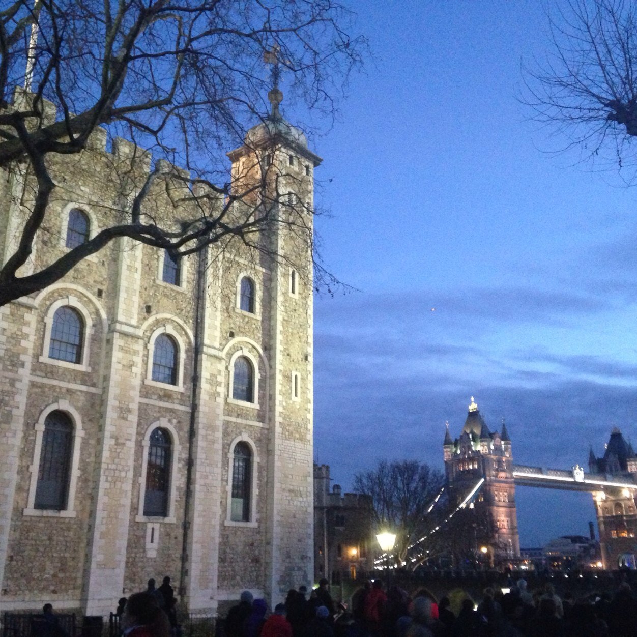 ScollyHot's profile picture. 