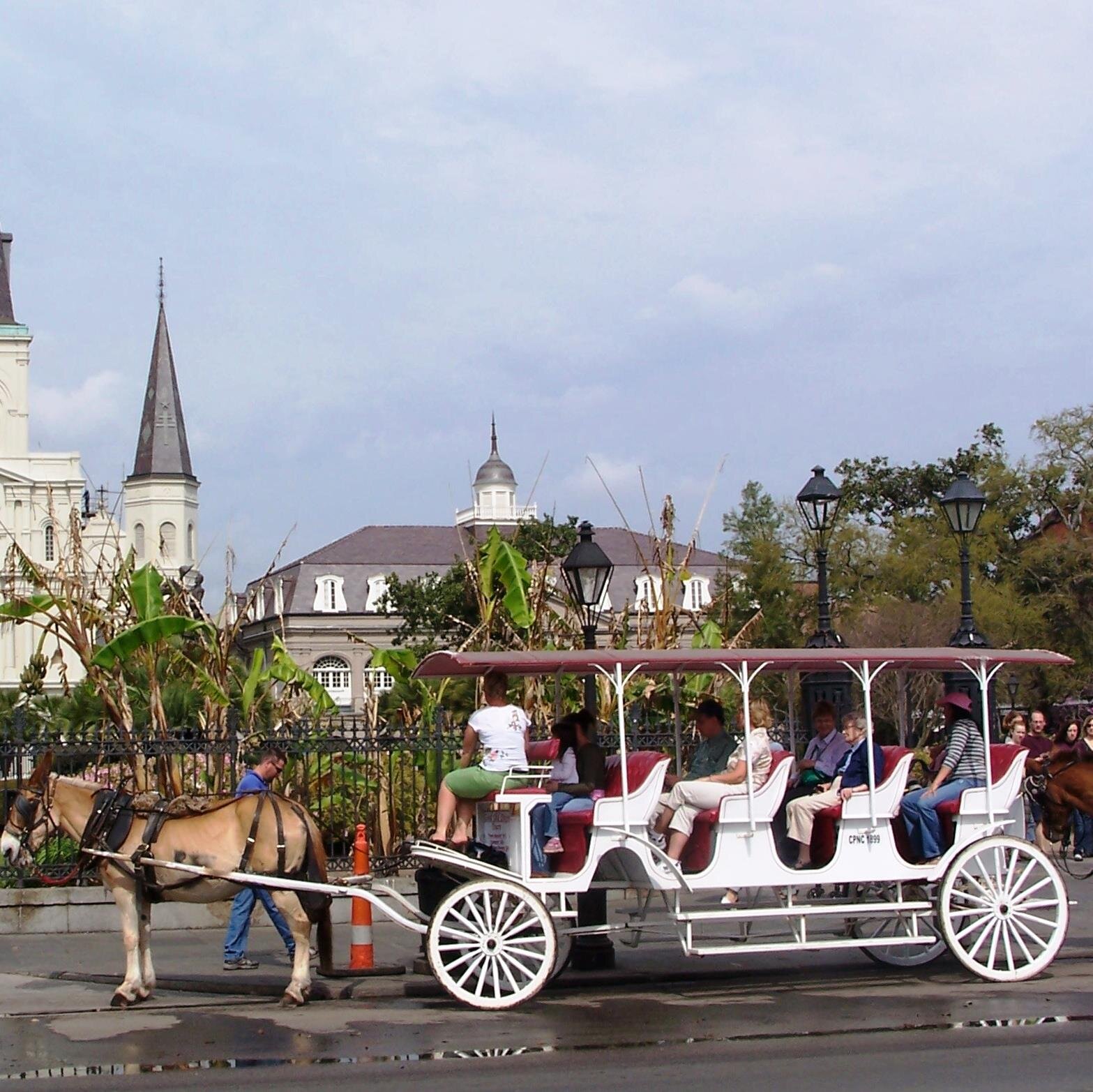 Come visit Louisiana ! All about your next trip to the Bayou, what are you waiting for !