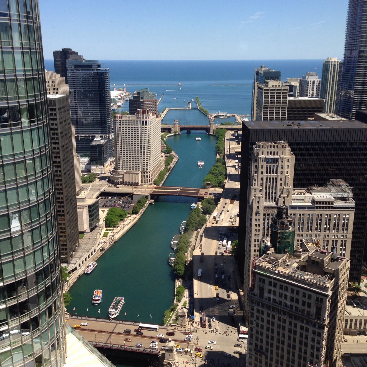 gillt25's profile picture. 