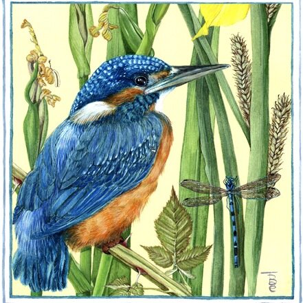 'For all life we need water, plants and animals (including humans), in complete ecological order. Humans are in charge!