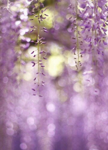 hiba_hassan91's profile picture. ‏‏‏‏تذكر يديك يوم تشهد عليك
.. (قريبا .. اخصائية طب طوارئ )