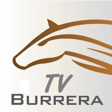 Actividad hipíca del hipódromo, Maroñas, Las piedras, SINT. Noticias nacionales e internacionales, notas, entrevistas, pronosticos, tabuladas.