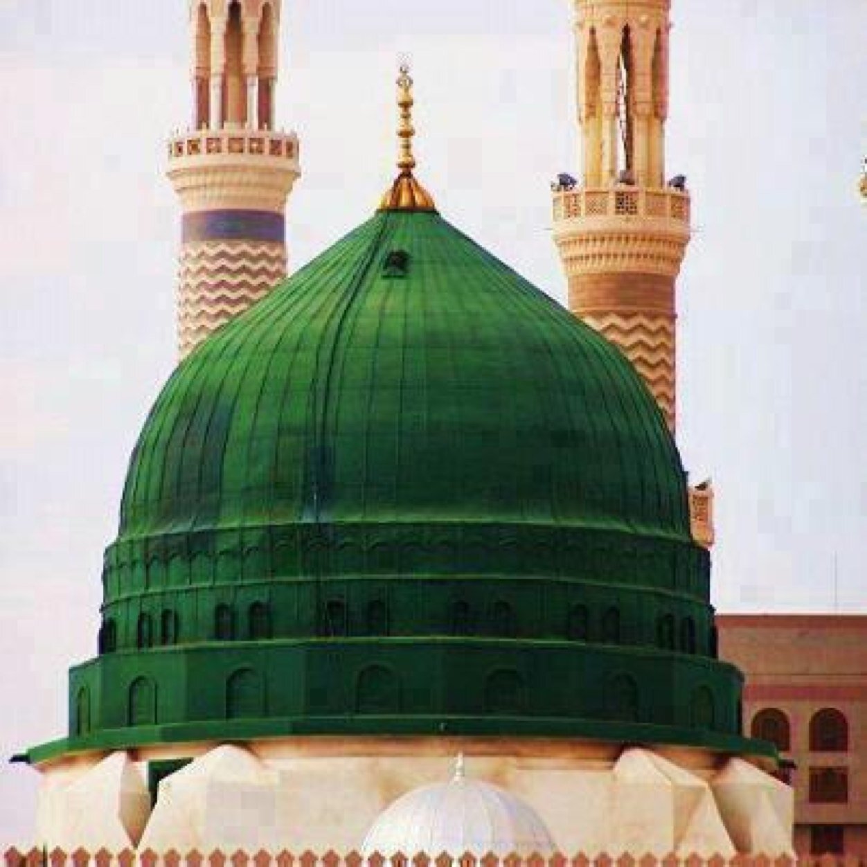 QadriSamina's profile picture. 