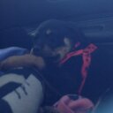 abbie mitchell - @abbiemitchell10 - Twitter