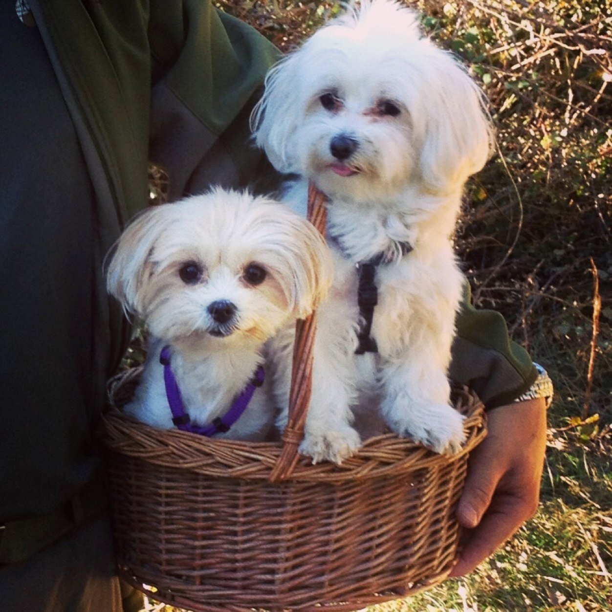 gusysusana's profile picture. 