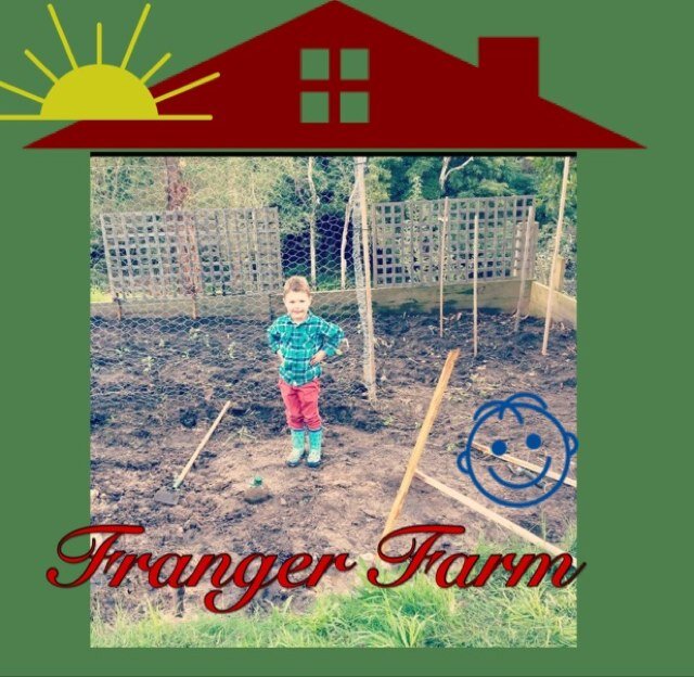 Feeding our family of five from our 1 acre suburban micro farm near Melbourne,Australia.