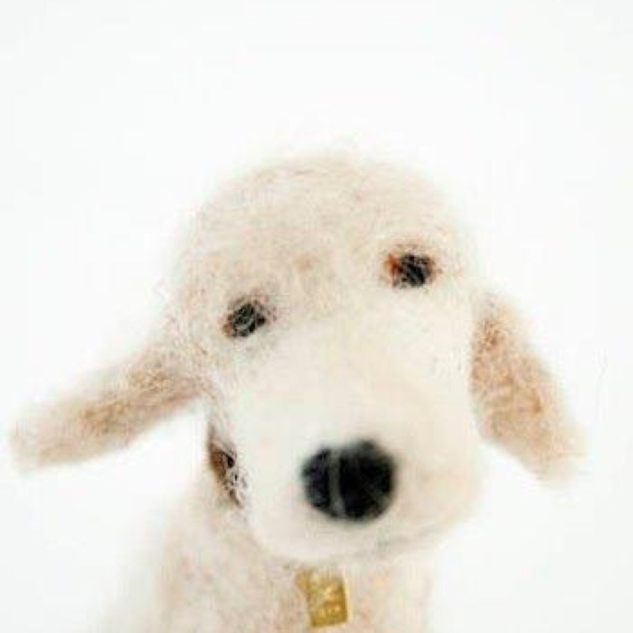 jesb3101's profile picture. M'n leeftijd? inmiddels hoger dan m'n IQ...