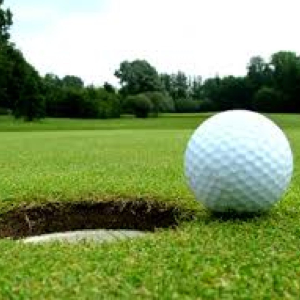 LifeOfGolfing's profile picture. Everything Golf