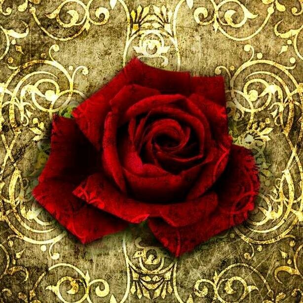 x1nina1x's profile picture. 