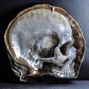 Steve Rickard - @SteveMRickard - Twitter