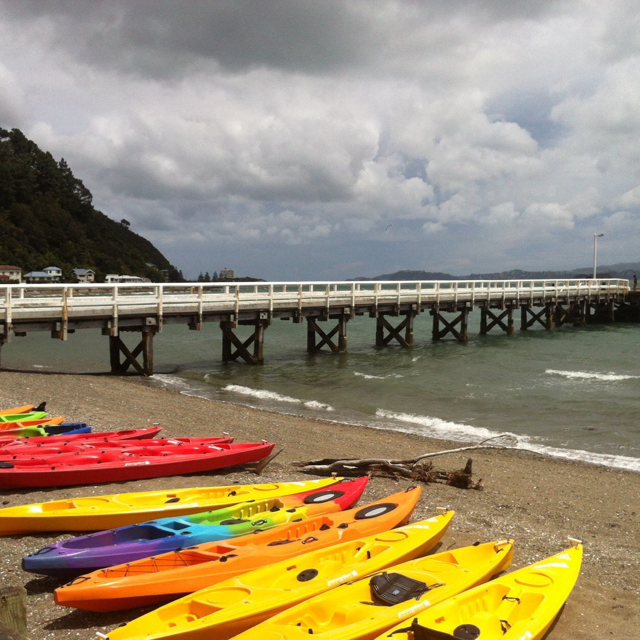 DaysBayDays's profile picture. Simply Savouring Magical Days Around the Stunning Bays of Wonderful Wellington in general & Eastbourne in particular. Attempting to Capture Moments to Share :-)