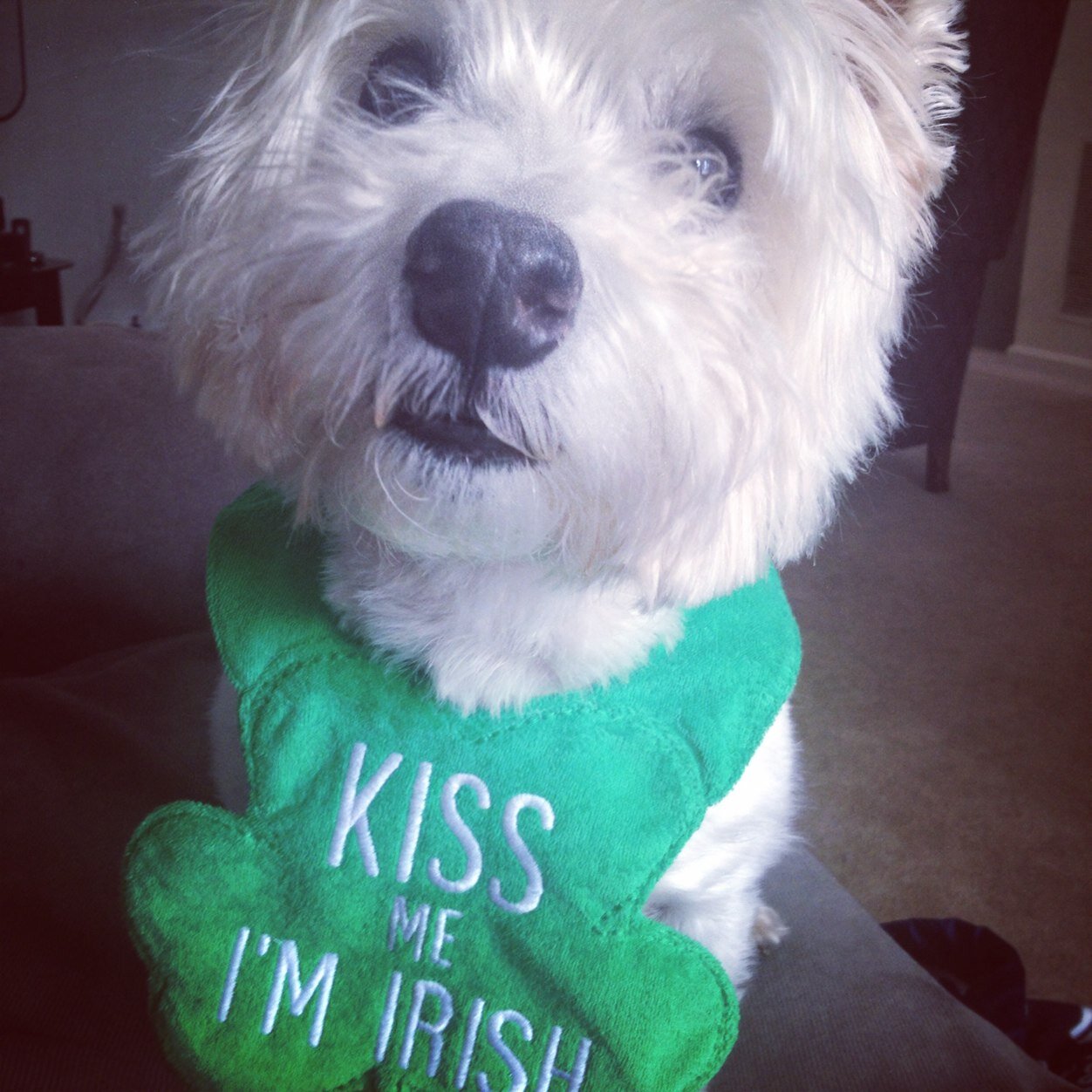 GFinPhilly's profile picture. Gluten free chick out to eat in the Philly metro area