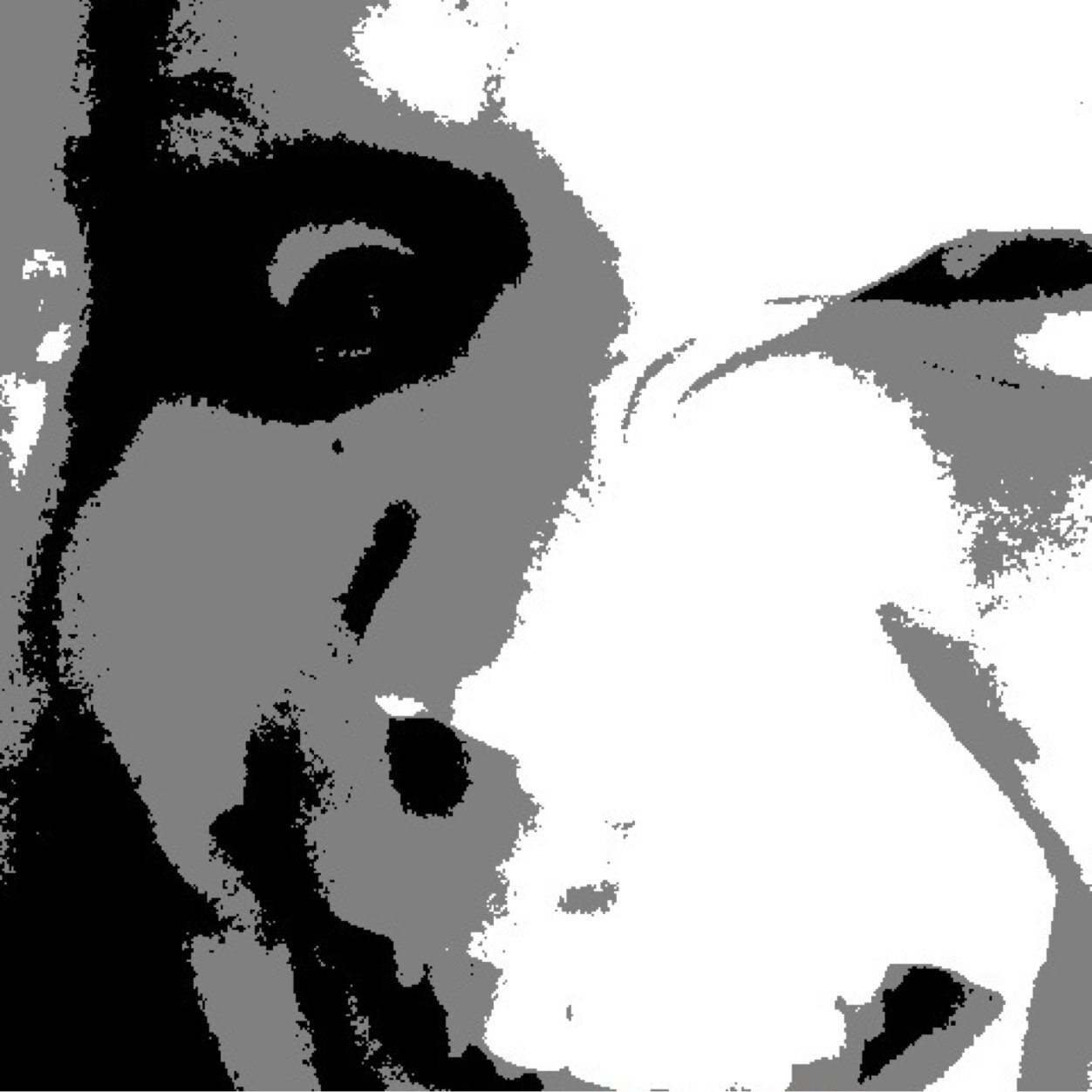 grams4504's profile picture. 